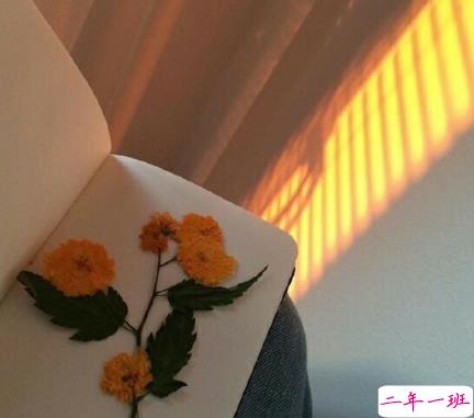 2020七夕浪漫的句子带图片 七夕情人节适合表白的情话说说13