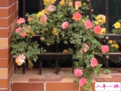 女生个性说说带图片 少见简短精辟的句子9