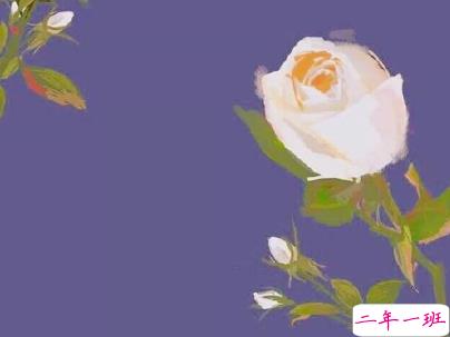 520爱情说说可爱撩人带图片 2020年520表达爱意的句子14