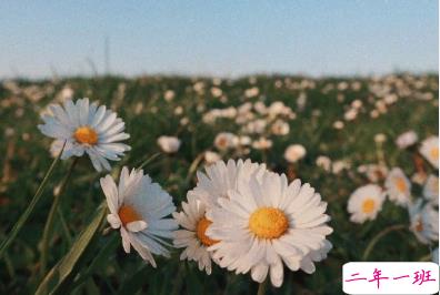 15句教你如何去看懂一个人 教你如何去识人 15