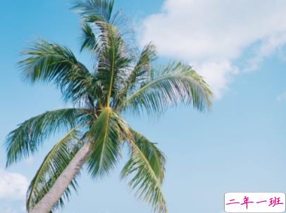 超可爱超甜的表白句子带图片 适合女生情话说说卡哇伊1