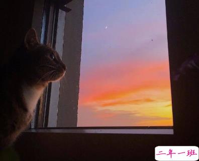 对异地的他表达思恋的句子 再相逢希望我们都在更高处 12