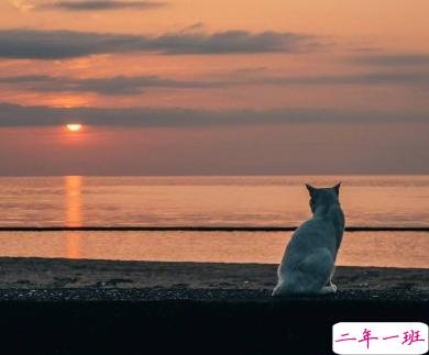 对异地的他表达思恋的句子 再相逢希望我们都在更高处 13