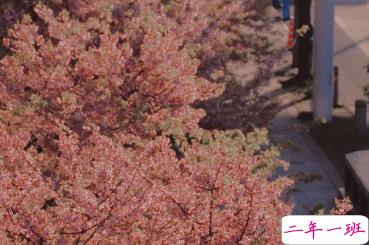 适合女生公布恋情的句子 分享我的宝藏男孩1