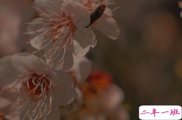 适合女生公布恋情的句子 分享我的宝藏男孩3