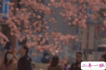 适合女生公布恋情的句子 分享我的宝藏男孩4