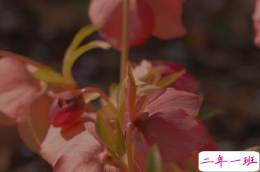 适合女生公布恋情的句子 分享我的宝藏男孩5