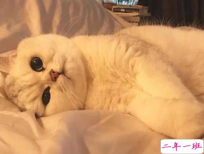 教你如何辨别渣男的句子 渣男经典语录带图片2