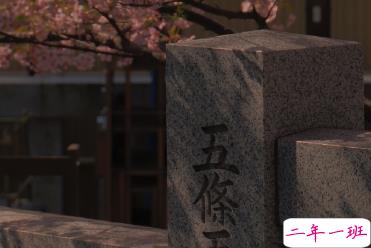 适合女生公布恋情的句子 分享我的宝藏男孩8