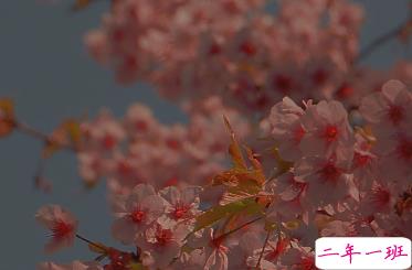 适合女生公布恋情的句子 分享我的宝藏男孩9