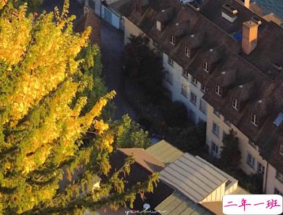 教你如何辨别渣男的句子 渣男经典语录带图片4