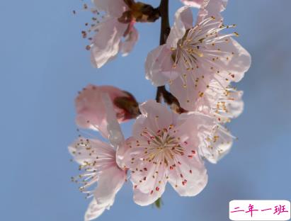 教你如何辨别渣男的句子 渣男经典语录带图片6