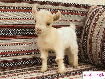 教你如何辨别渣男的句子 渣男经典语录带图片11