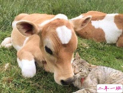 教你如何辨别渣男的句子 渣男经典语录带图片12