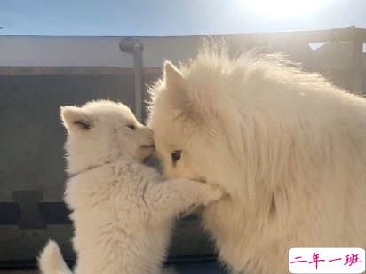 教你如何辨别渣男的句子 渣男经典语录带图片13