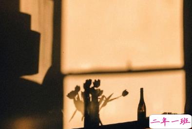 2020晚安的温馨句子 我先睡了明天再想你15