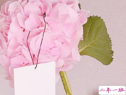 情侣间日常生活的甜句子配图 让人喜笑颜开的甜蜜说说15