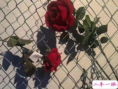 朋友圈经典爱情说说带图片 你若一直在我便一直爱8