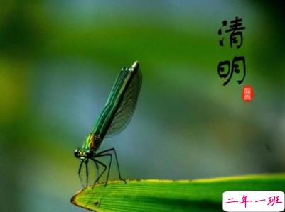 清明节说说心情短语带图片 2020清明节安康1