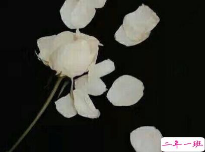 朋友圈经典爱情说说带图片 你若一直在我便一直爱10