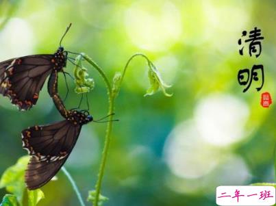清明节说说心情短语带图片 2020清明节安康5