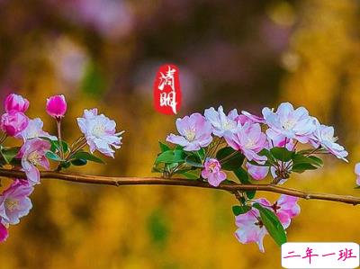 清明节说说心情短语带图片 2020清明节安康7