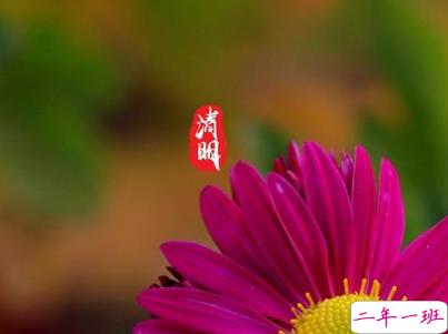 清明节说说心情短语带图片 2020清明节安康10