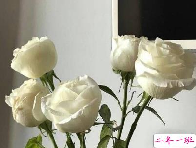 朋友圈经典爱情说说配图 学会爱然后长大14