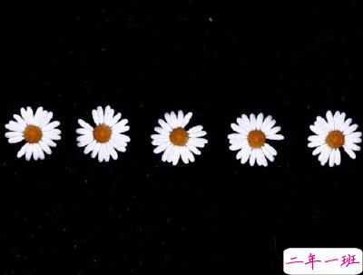 清明节说说心情短语带图片 2020清明节安康15