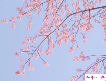 2019好听的微信爱情说说带图片 简单幸福的爱情说说4