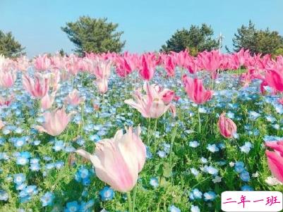 今年流行的朋友圈爱情说说配图 谈恋爱真的很麻烦以后我麻烦你了8