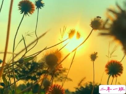 今年流行的朋友圈爱情说说配图 谈恋爱真的很麻烦以后我麻烦你了11