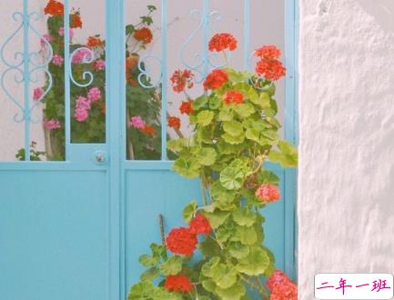 2019好听的微信爱情说说带图片 简单幸福的爱情说说10