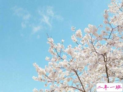 2019五月份表白的甜句子配图 深情而温暖的表白情话3