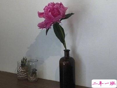 2019五月份表白的甜句子配图 深情而温暖的表白情话6