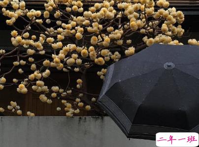 2019五月份表白的甜句子配图 深情而温暖的表白情话14