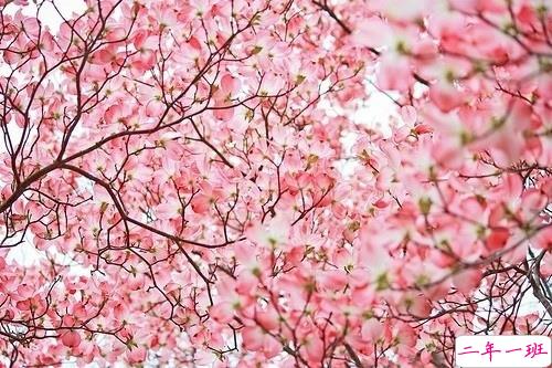 00后暗恋同桌的微信说说带图片 写给暗恋同桌的话3