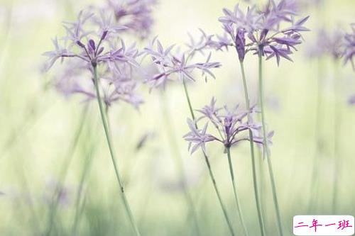 00后暗恋同桌的微信说说带图片 写给暗恋同桌的话10