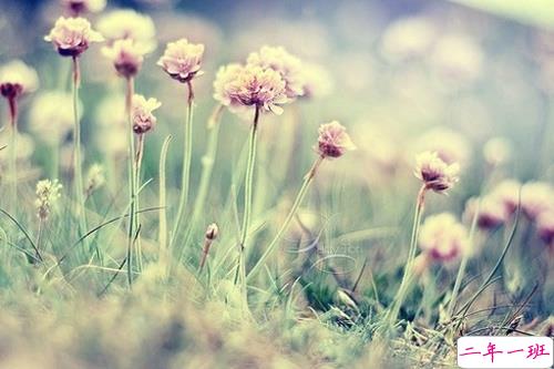 00后暗恋同桌的微信说说带图片 写给暗恋同桌的话12