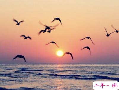 看日出日落的心情说说带图片 欣赏日出日落的句子2