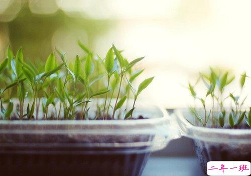 向女朋友求婚的话真实浪漫点 2019求婚句子大全简单带图片1