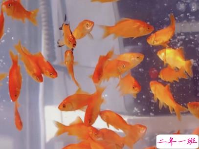 发朋友圈的潮流句子带图片 今年很火的金句高逼格4