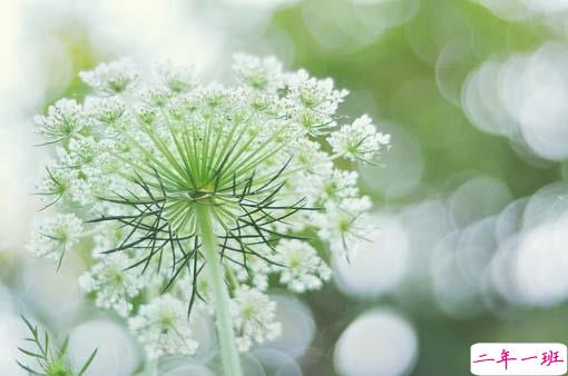 2019抖音经典爱情说说带图片 长大后逐渐懂得的爱情道理3