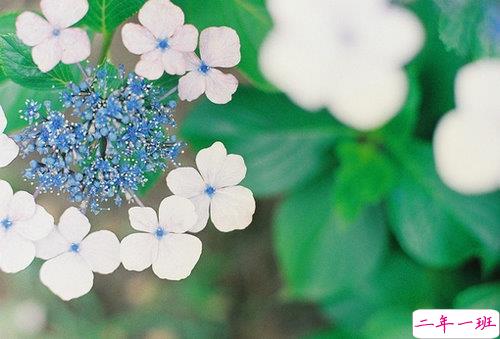 向女朋友求婚的话真实浪漫点 2019求婚句子大全简单带图片9