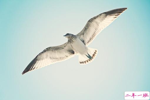 2019抖音经典爱情说说带图片 长大后逐渐懂得的爱情道理13