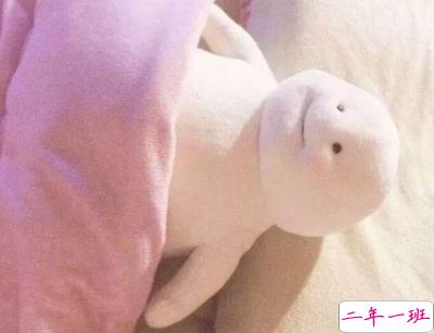 很有意思的朋友圈说说带图片 有格调吸引人的微信说说3