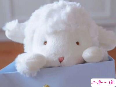 朋友圈很火的个性潮句子配图 社会是由等级的很多事不公平12