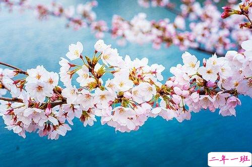 2019非主流经典爱情说说带图片 很打动人的一些爱情真理3