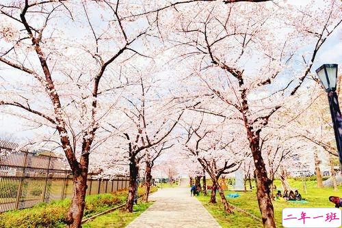 2019非主流经典爱情说说带图片 很打动人的一些爱情真理9