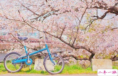 2019非主流经典爱情说说带图片 很打动人的一些爱情真理10